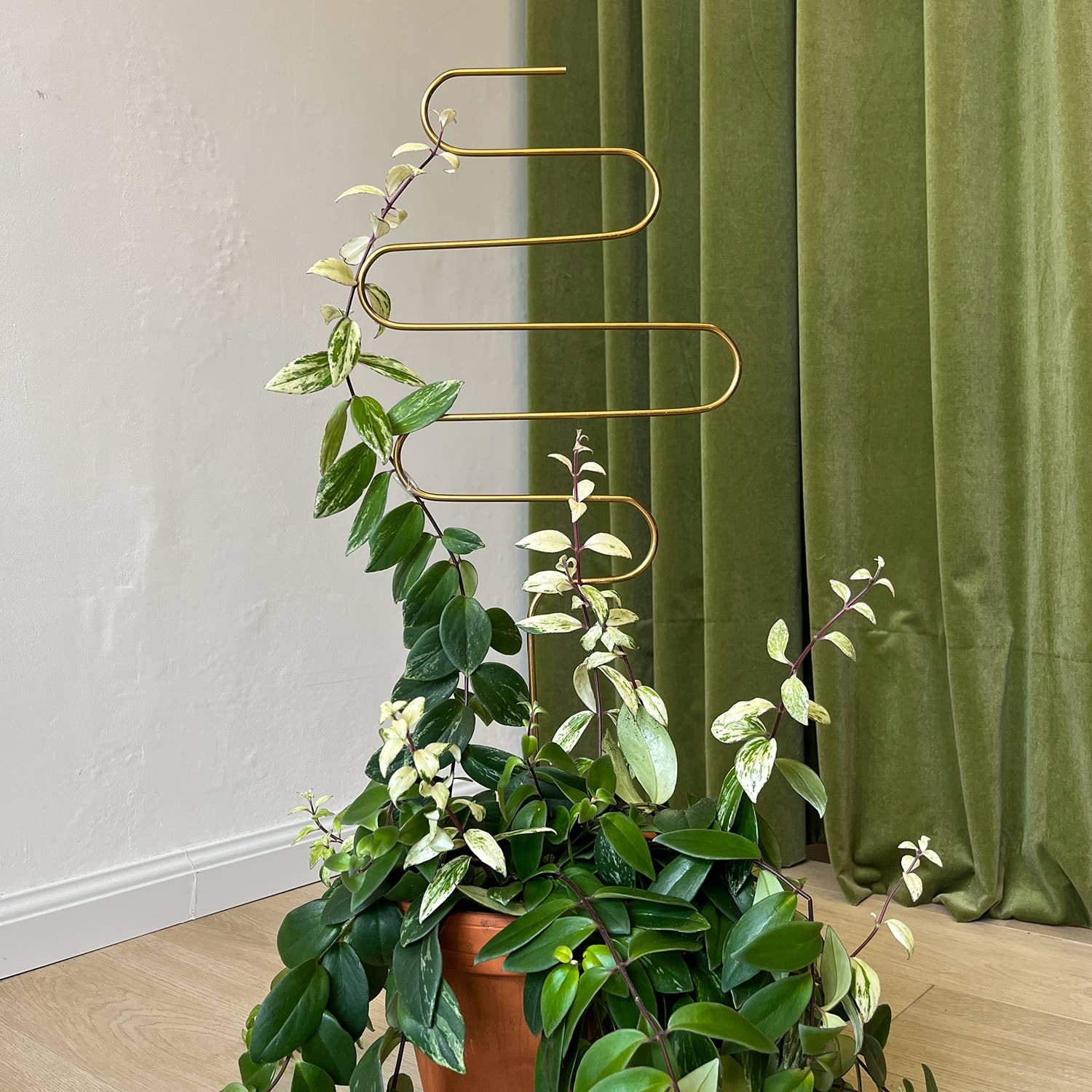 Botanopia - gifts , decor and cards for plant lovers - Wholesale Garden/Lawn Stake - golden plant stake - Squiggle3