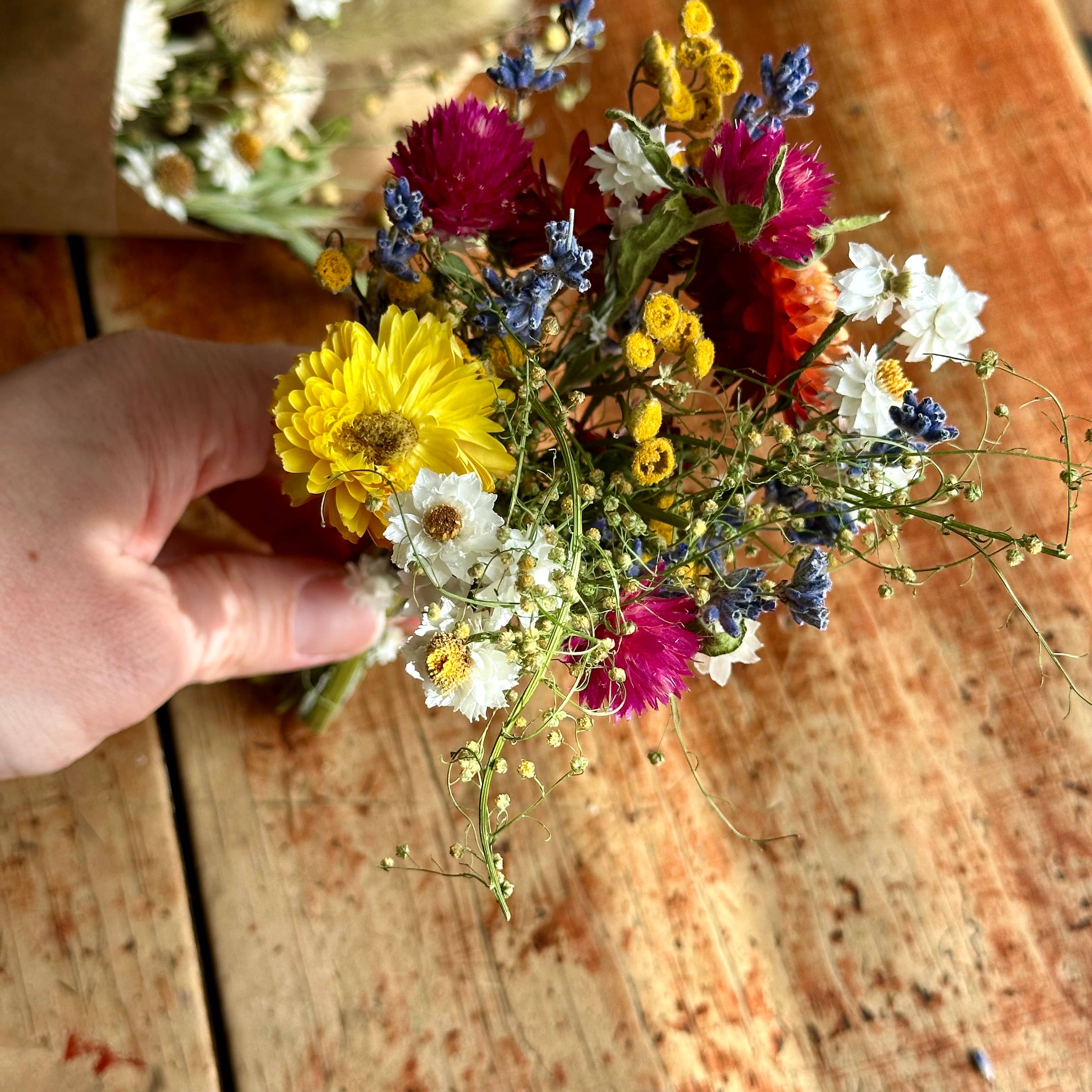 erba - Wholesale Dried/Pressed Flowers - Dried Floral Bouquets4