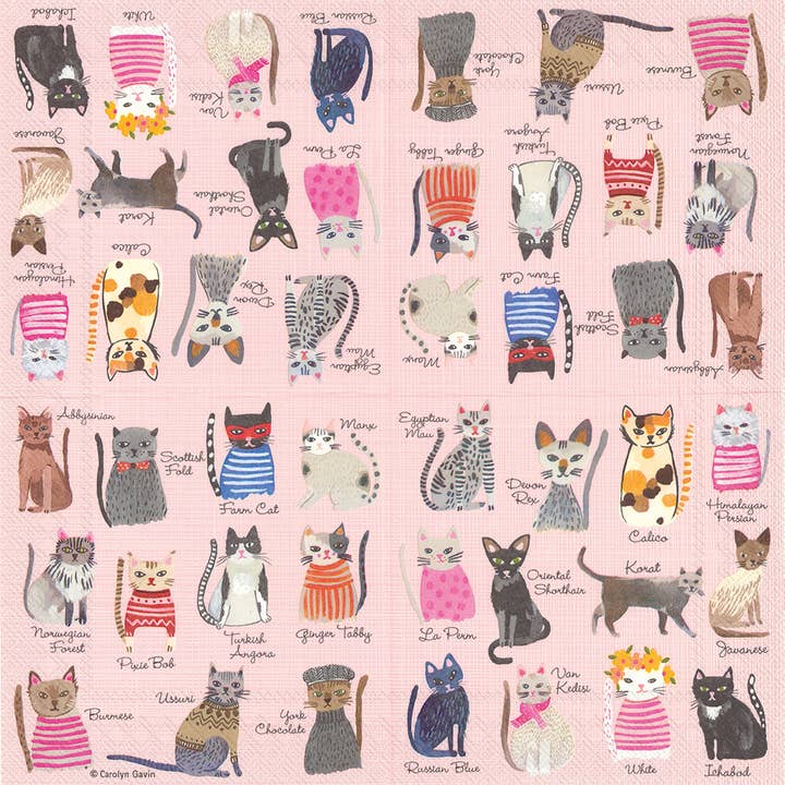 Paper Cocktail Napkins Pack of 20 Cool Cats for wholesale by Boston International
