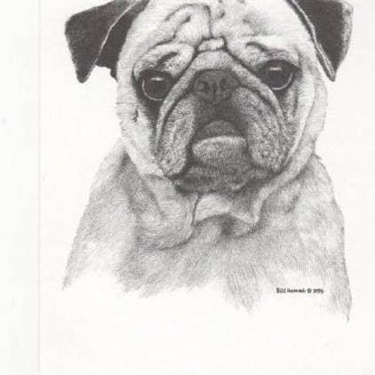 Pug Hund Bill Harrah Porträtt Mattad Konstkort för wholesale av Chesapeake Farms LLC