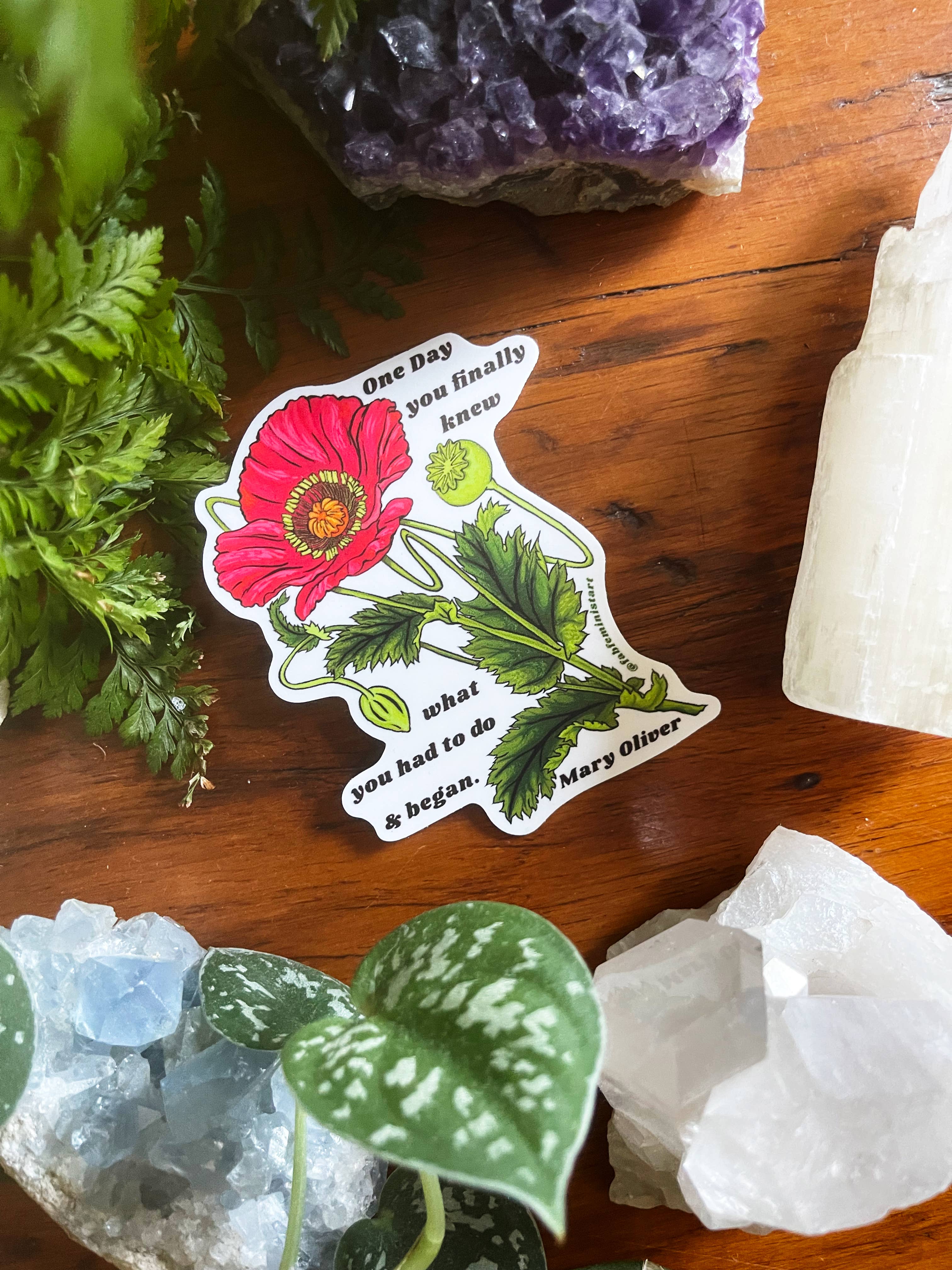 Fabulously Feminist - Wholesale Sticker - Op een dag wist je het eindelijk en begon je, Mary Oliver: Sticker6