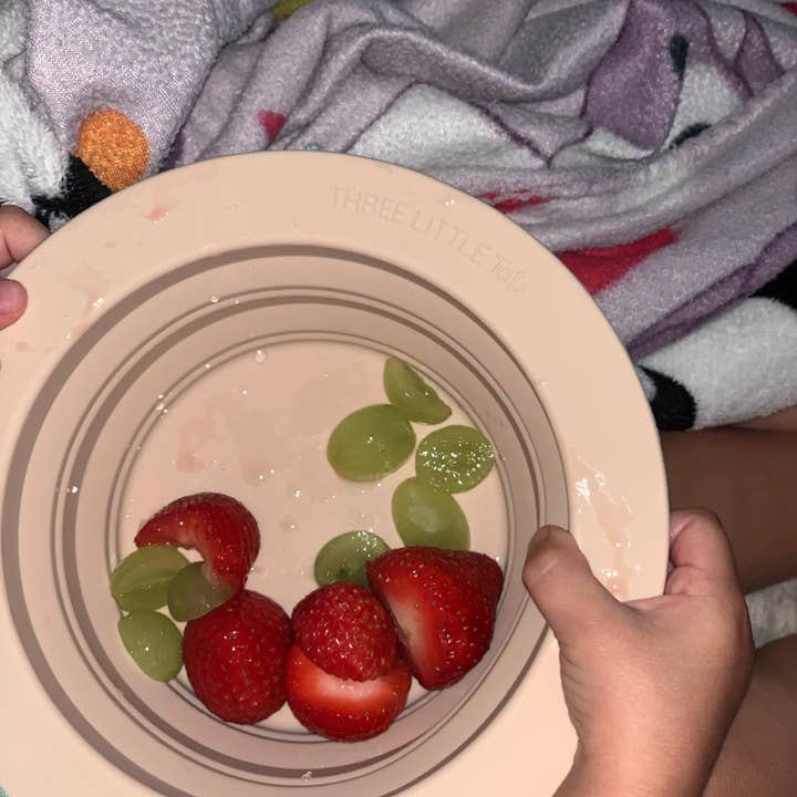 Three Little Tots - Wholesale Bowl - Collapsible Bowl for Travel or Home36