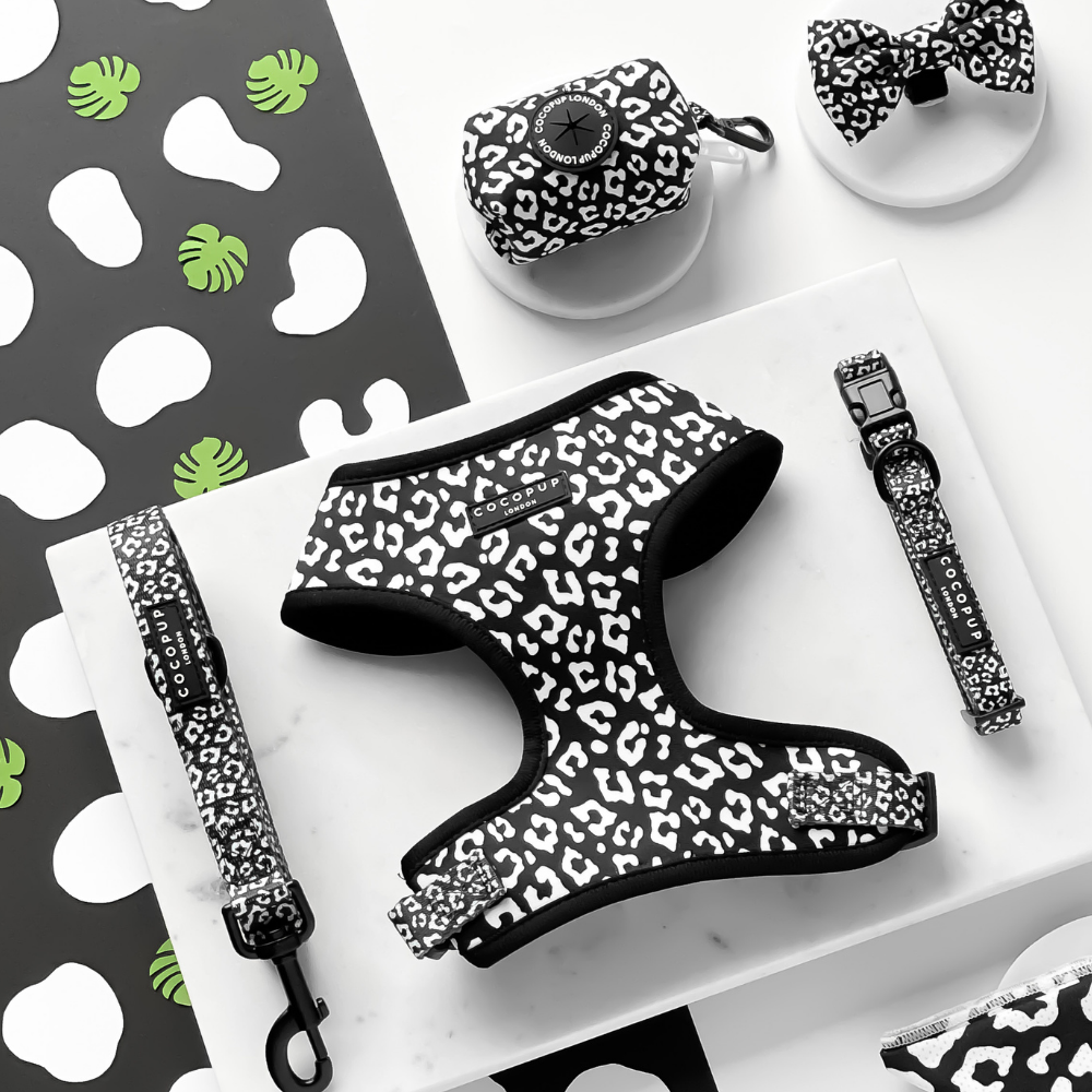 Cocopup London - Vente Harnais – chien - Harnais de cou ajustable léopard noir2