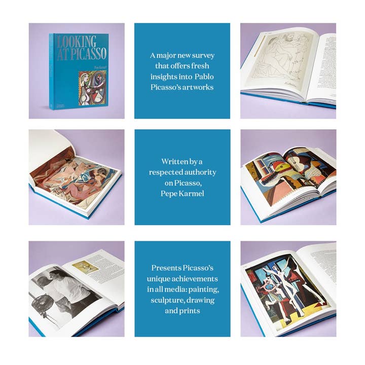 W. W. Norton - Wholesale Arts & Entertainment - Looking at Picasso16