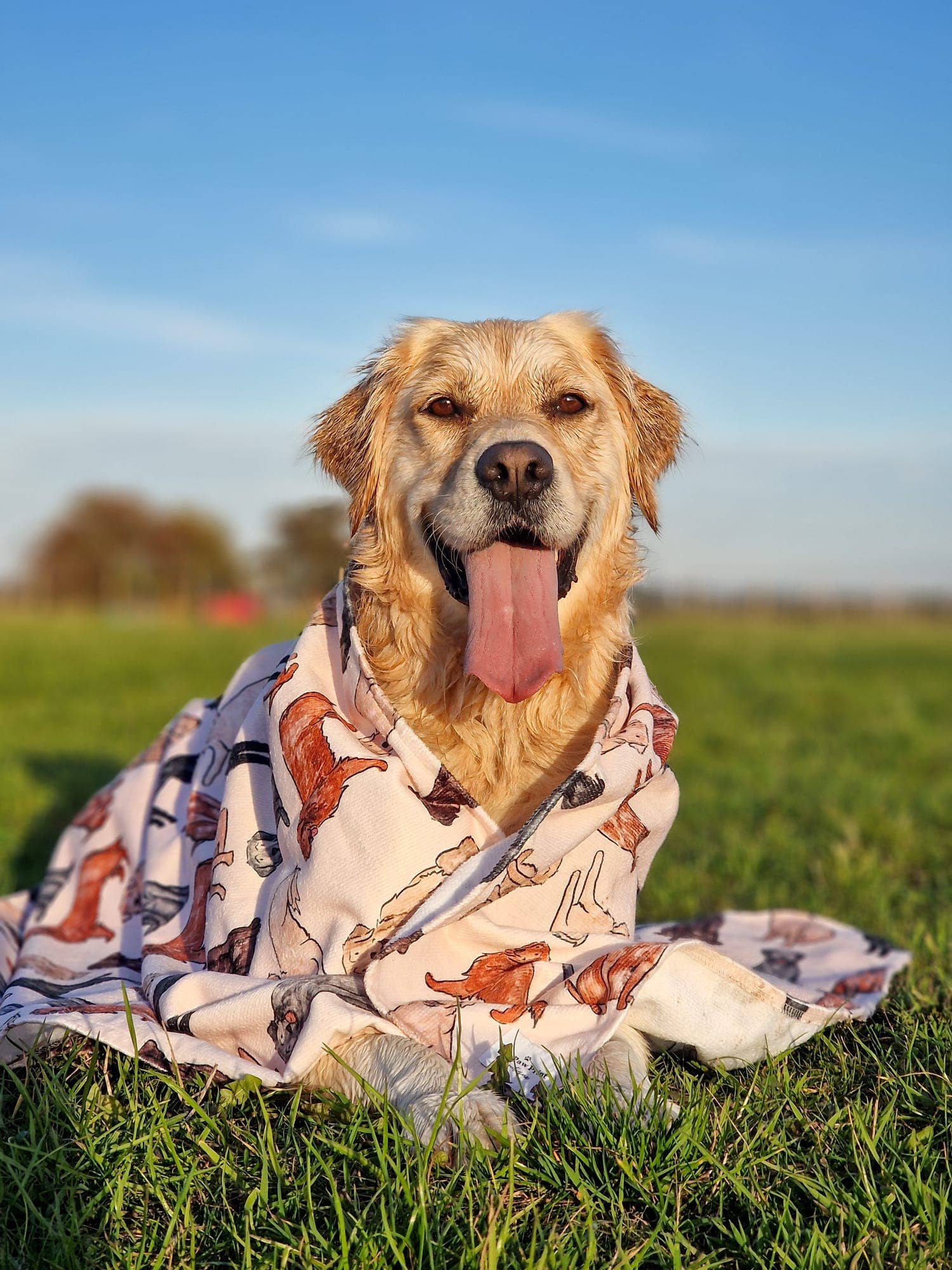 The Paw Print Boutique - Wholesale Pet Towel - Dog - The Labrador / Retriever Dog Towel1