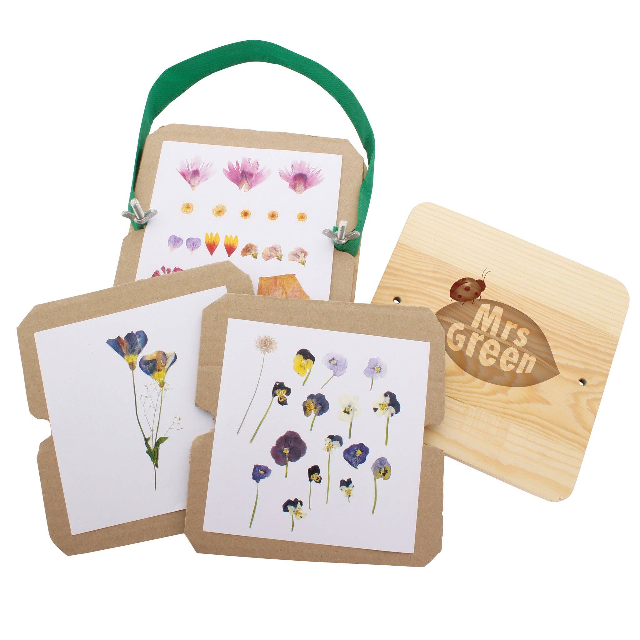 Heebie Jeebies USA - Wholesale Dried/Pressed Flowers - Flower Press Large1