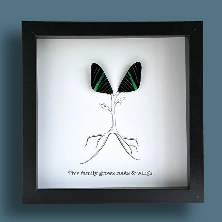 This Family Grows Roots and Wings Framed Art with Real Butterfly Wings for wholesale by Isms