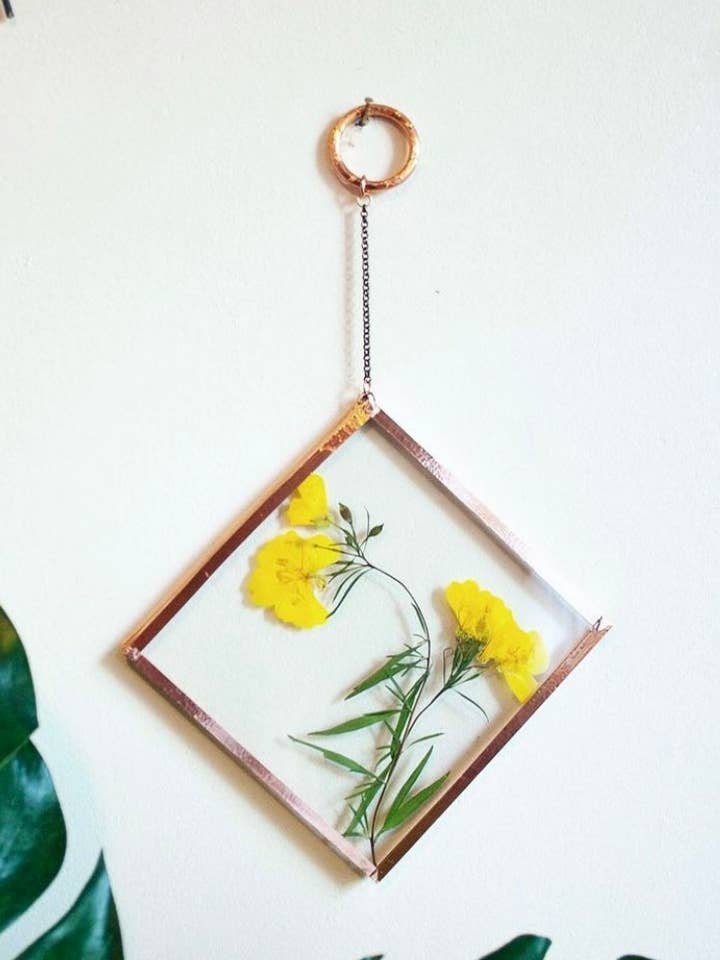 Pflanzenherbarium im handgefertigten Glasrahmen mit echten Blumen für den Großhandel von The Wildest Flowers