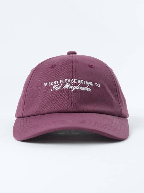 The Wingleader 📚 Bookish Baseball Hat for wholesale by Well Versed Goods