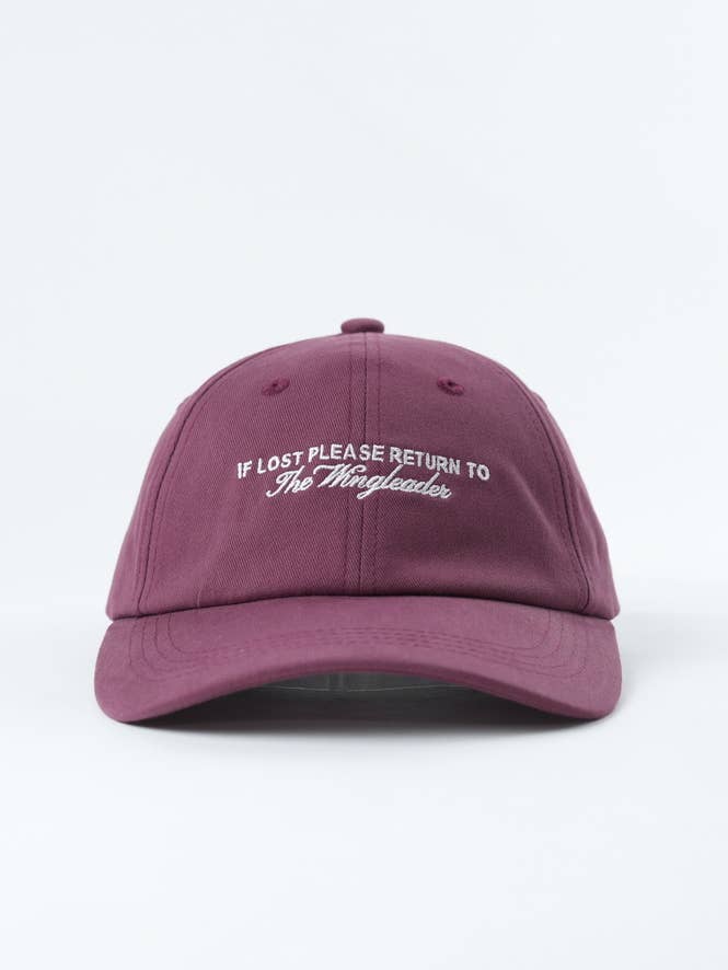 The Wingleader 📚 Bookish Baseball Hat for wholesale by Well Versed Goods