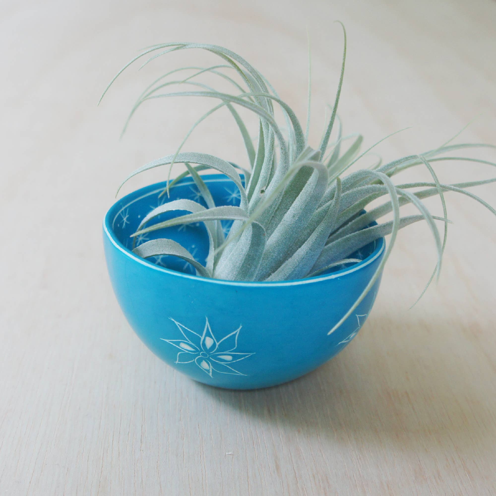 Venture Imports LLC - Venta al por mayor Bandejas/platos/boles decorativos - Cuenco de dos patrones0