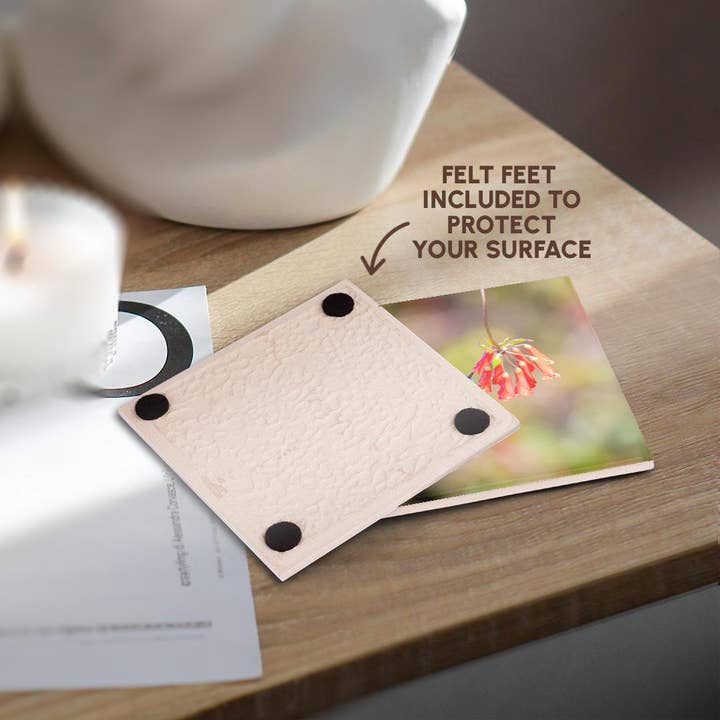 3dRose - Wholesale Coasters - 3dRose, Costa Rica. Male talamanca hummingbird feeding, Coaster3