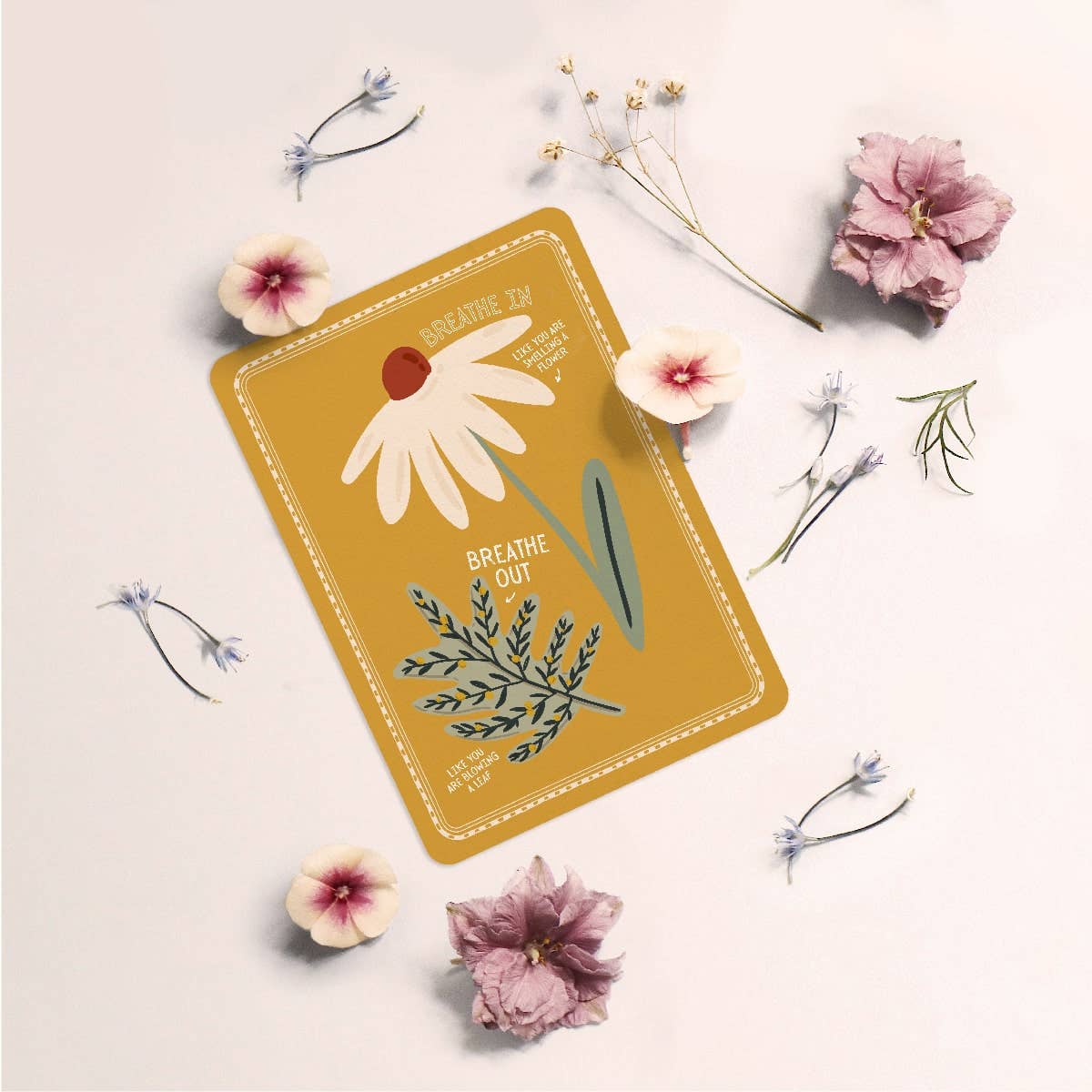 The Creative Sprout – wholesale Learning cards – Child & baby – Calm Down Cards – Tools to Support Emotional Regulation12