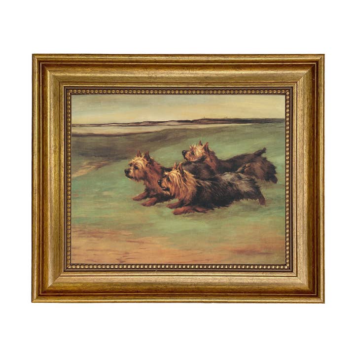 Três Yorkshire Terriers Pintura Vintage Impressa em Tela por atacado de Madison Bay Co. - Historical Home Decor Reproductions
