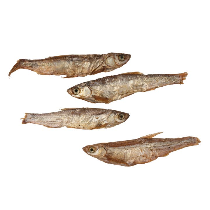 Cooka's Cookies - Wholesale Pet Biscuit - Dog - Gone Fishing - Air-dried fish1