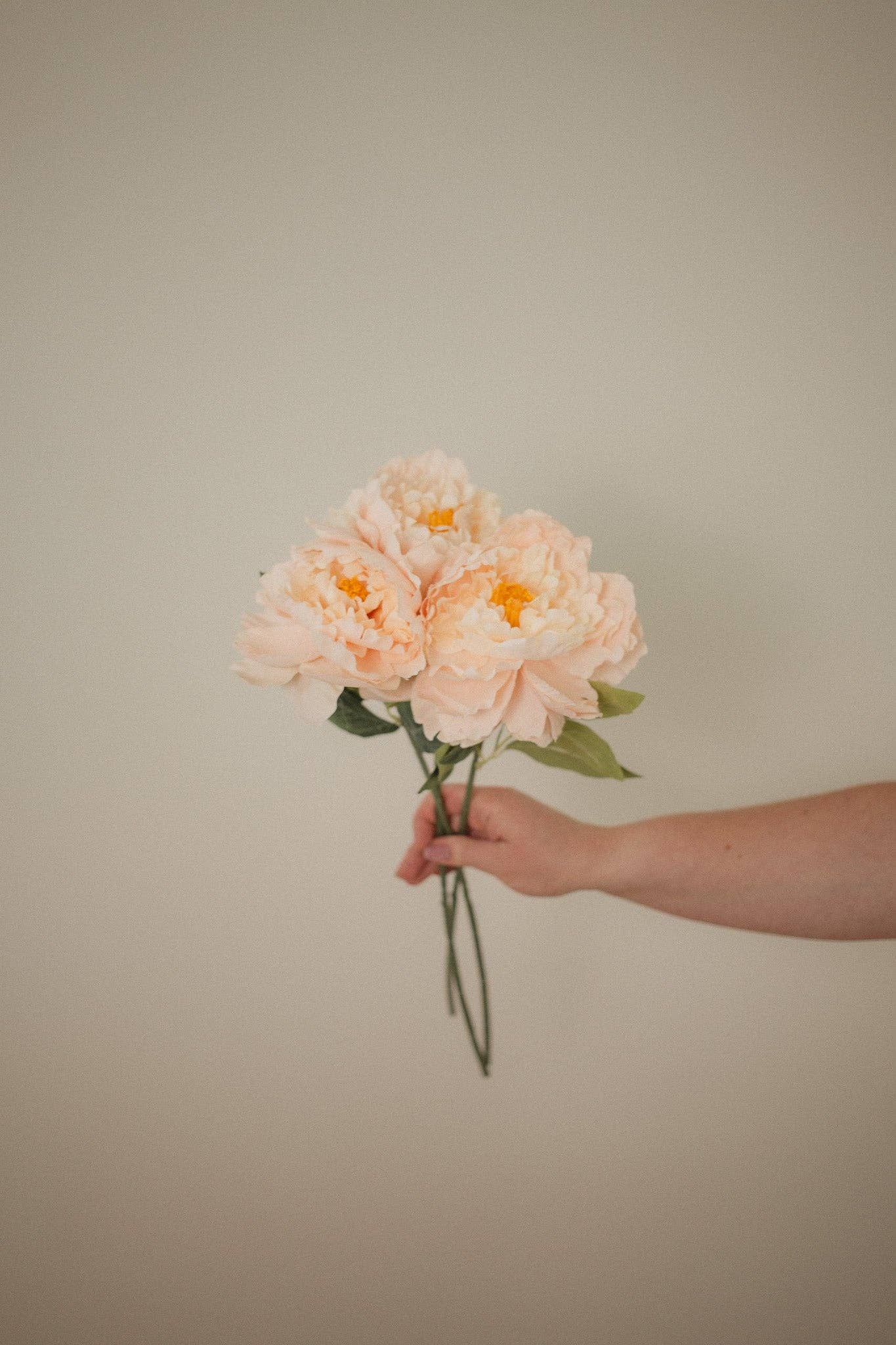 Eucalypt Co. - Wholesale Artificial Flowers - London Peony1