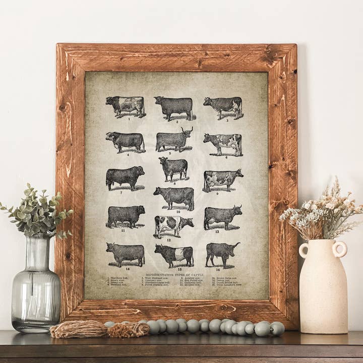 Vintage Cattle Breeds Chart Framed Wall Art Farm Decor for wholesale by Swinford Designs