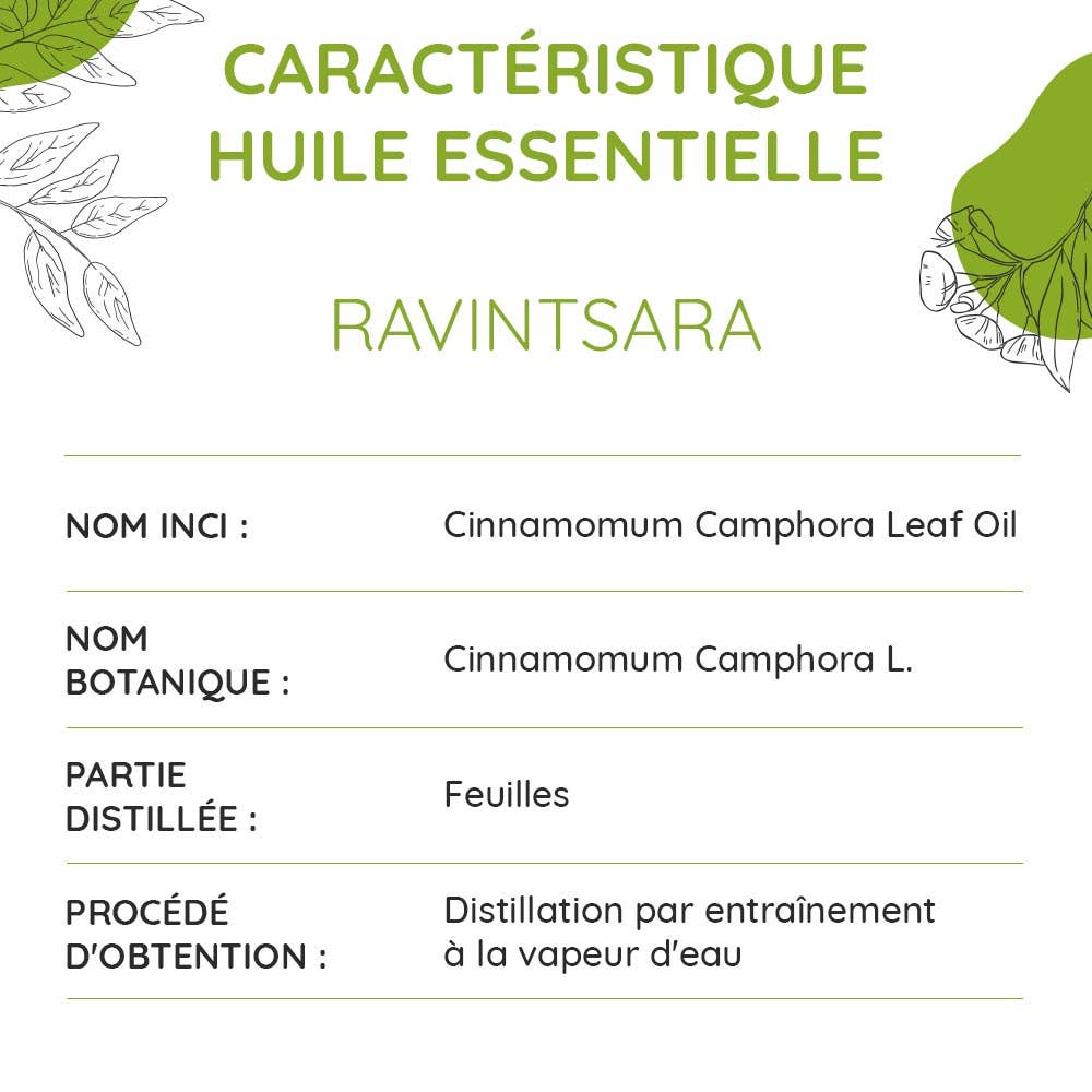 Propos'Nature - Wholesale Essential Oil - Organic Ravintsara Essential Oil 10ml4