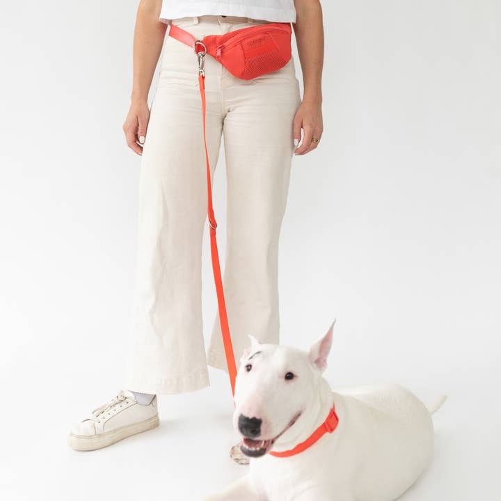 Springland Pets - Wholesale Pet Leash - Dog - Hands-Free Dog Walking Sling Bag with Leash (4 Pack)8