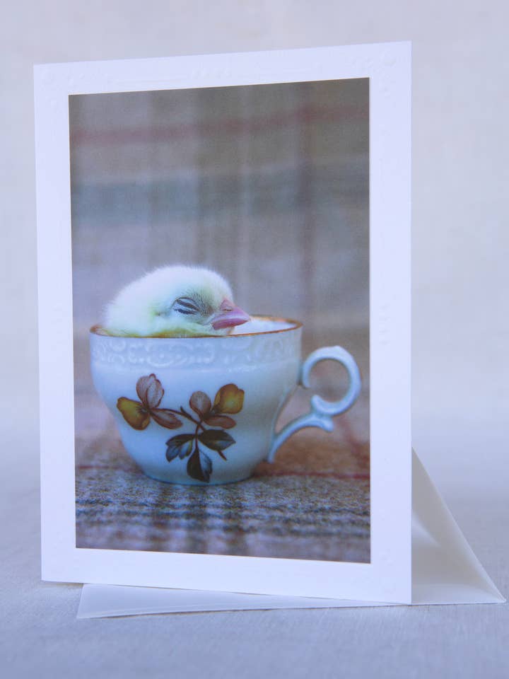 Sleeping Fall Chick - Rescue - Handmade Greeting Card for wholesale by Sonoma Chicks