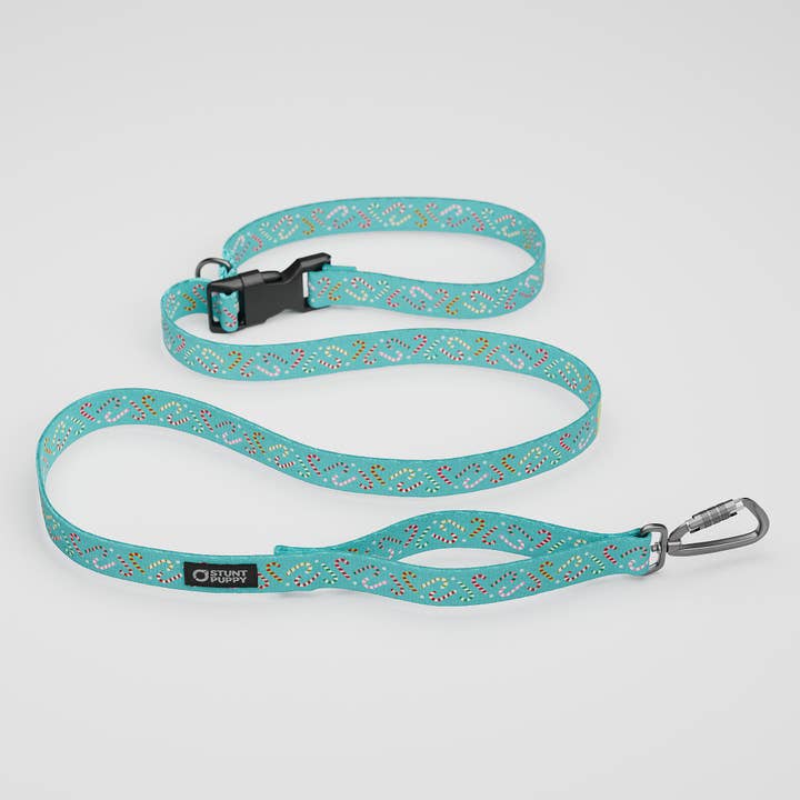 Candy Canes Aqua Everyday Leash™ for wholesale by Stunt Puppy