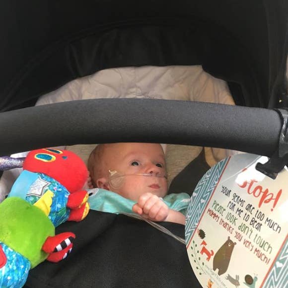 Three Little Tots - Wholesale Car Seat Cover - Kids & Baby - Woodlands No Touching Baby Car Seat and StrollerTag5