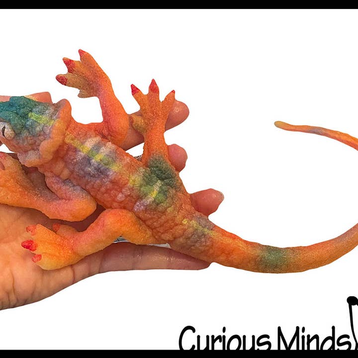 Curious Minds Toys - Wholesale Fidget toy – Kids - 1 Jumbo Grow a Lizard in Water - Add Water and it Grows up1