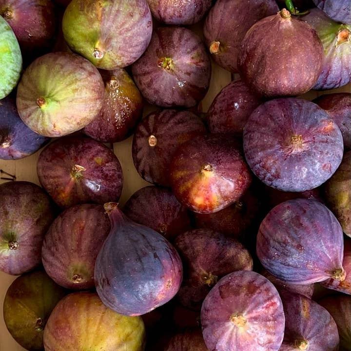 Blu Costiera - Wholesale Body Wash/Shower Gel - Fico Caprese3