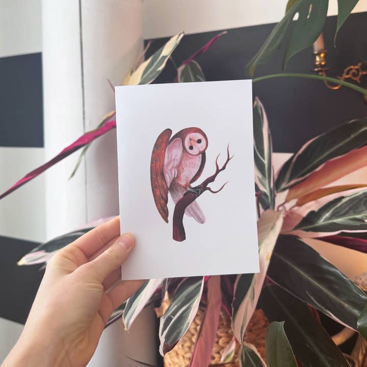 Curious Owl Card for wholesale by Songbird Illustrations