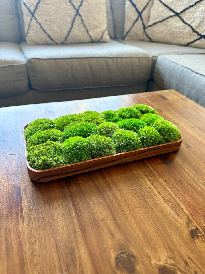 Preserved Pole Moss Centerpiece: Wood Nature Bowl for wholesale by Bright Belle