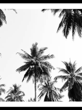 Onder de palmbomen voor wholesale door Wallified