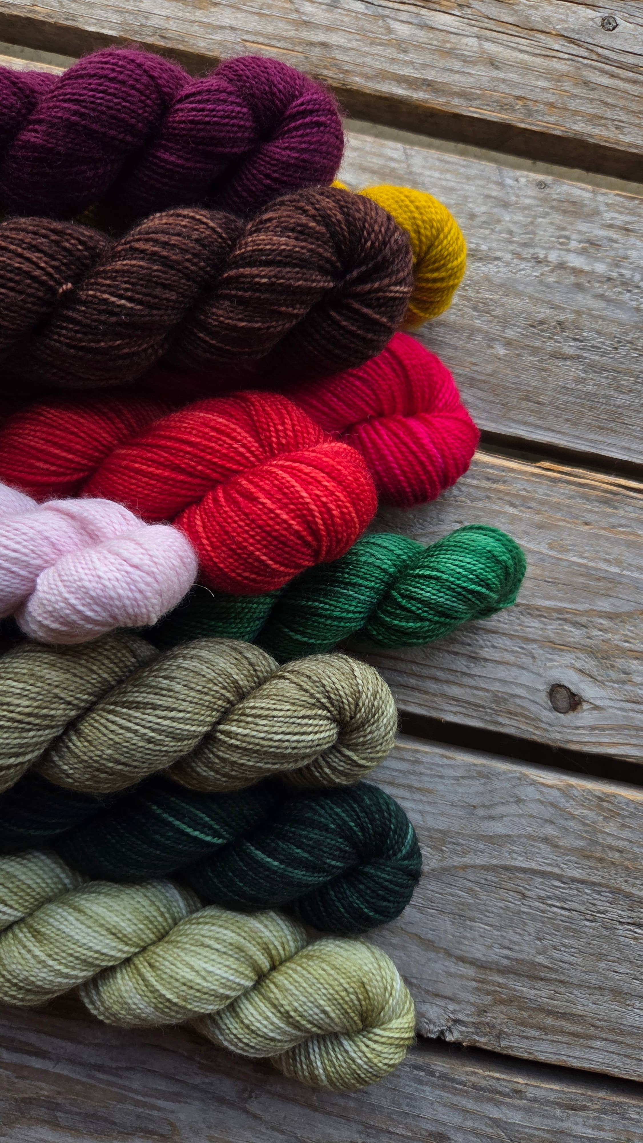 Koigu Wool Designs - Venta al por mayor Hilos - Paleta KPM de vacaciones (hilo de merino fingering)11