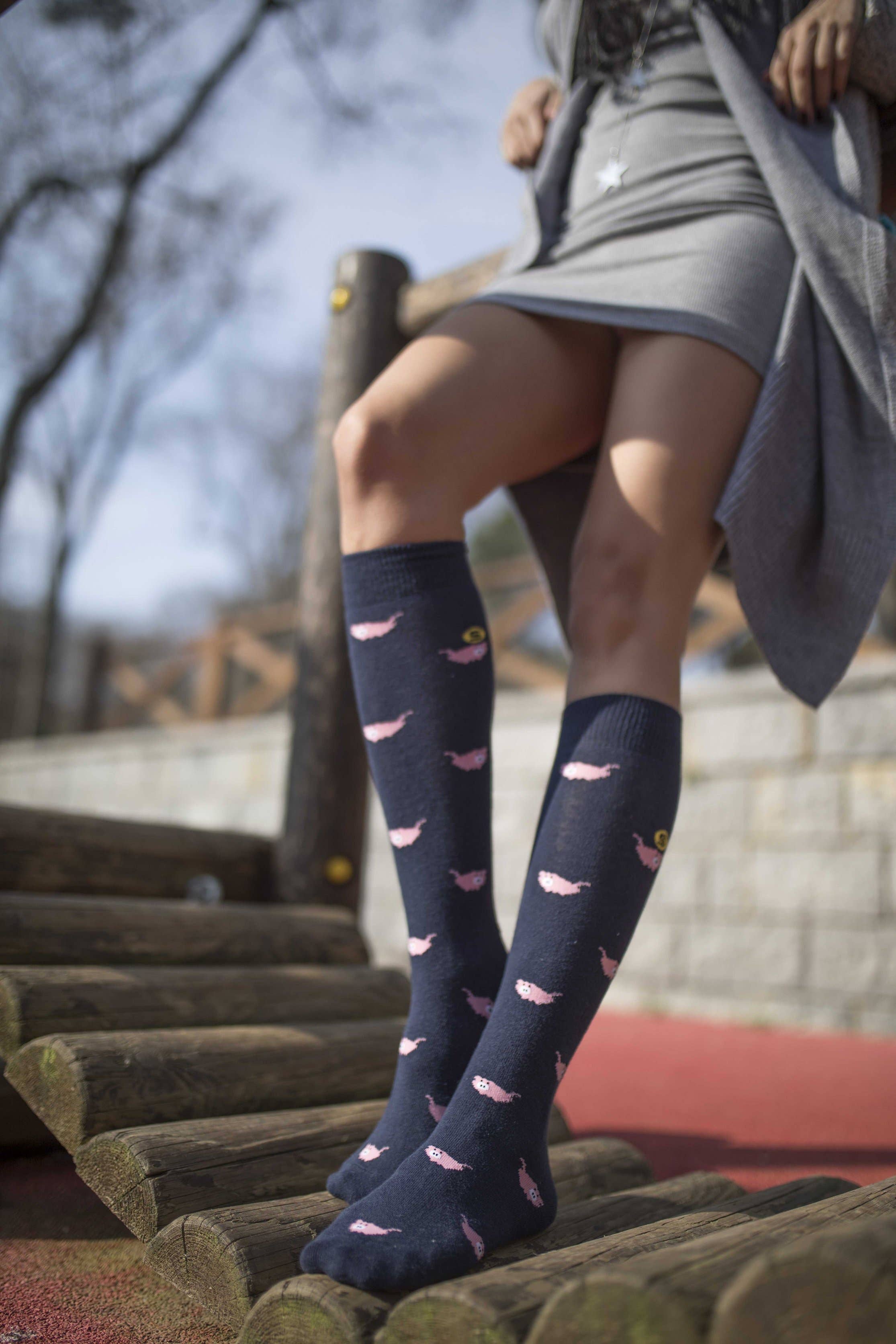 Socks n Socks - Wholesale Socks - Women's - Women's Pig Knee High Socks1