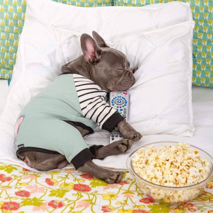 Frenchiestore - Wholesale Pet Pajamas - Dog - French Bulldog Pajamas | Blue Frenchie Dog4