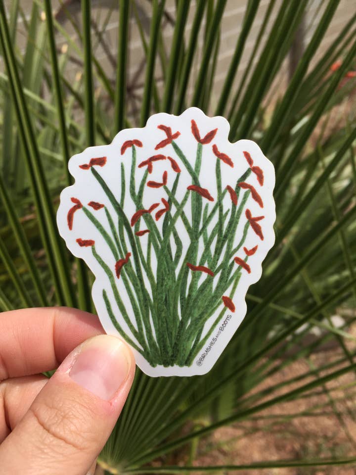 Ocotillo Vinyl Sticker for wholesale by Brushes and Boots
