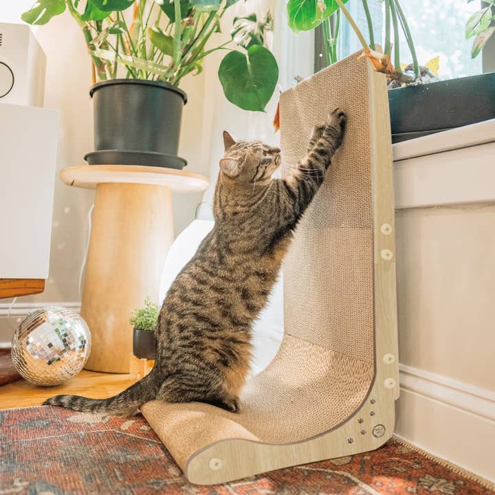 MOON-X USA, INC. - Wholesale Pet Scratcher - Cat - Premium Comfort Scatcher Wall