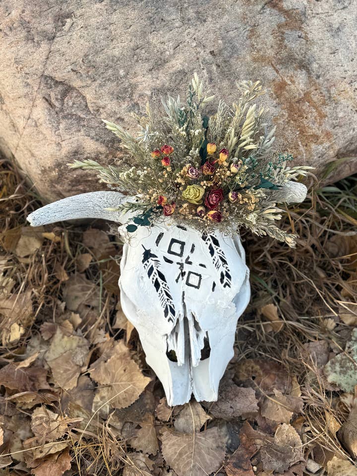 Teschio di mucca autentico per la vendita all'ingrosso da parte di Marie Laveau Creations