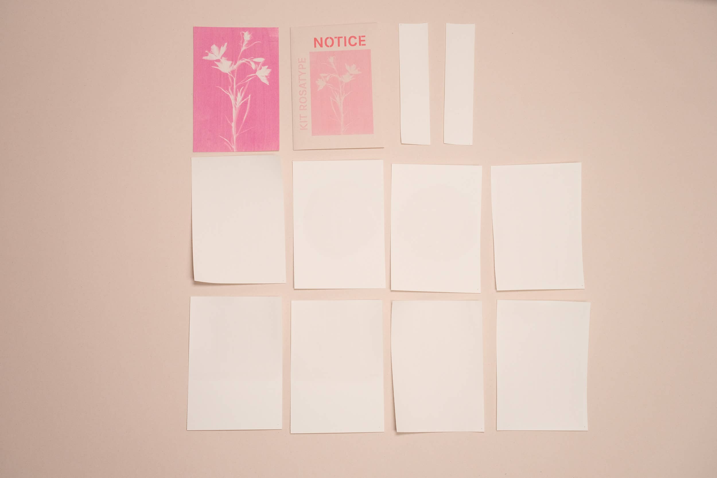 L'Atelier des Epatants - Venta al por mayor Kit de manualidades - Kit mini rosatype: como el cianotipo pero en rosa1