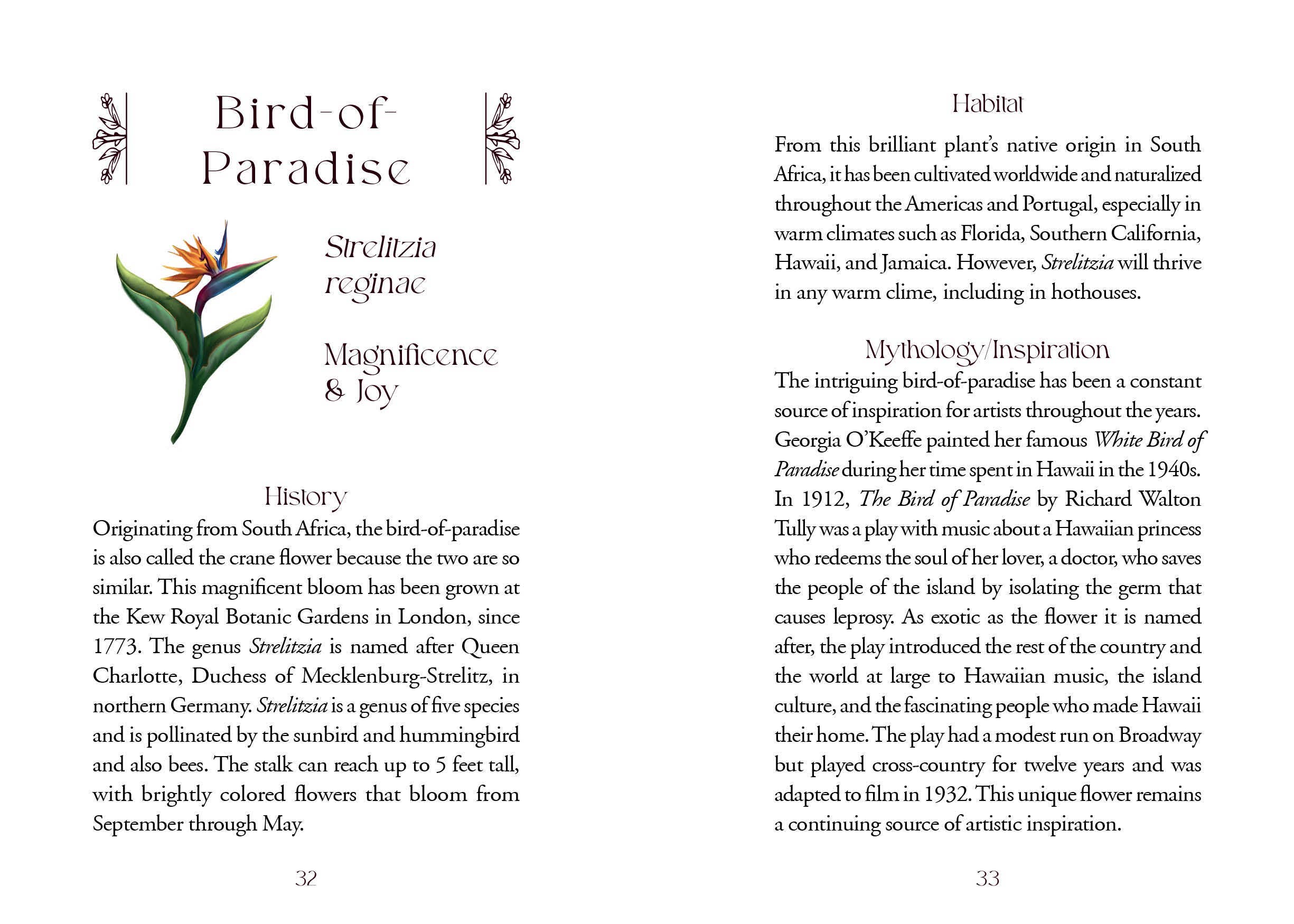 Schiffer Publishing – wholesale Tarot cards – The Flowerwise Oracle3