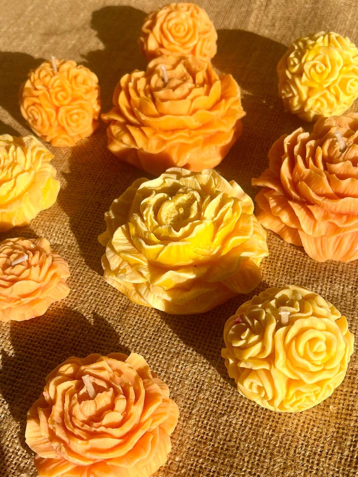 Festival Bloom – Morgenfrue Blomst Lys for engroshandel hos Kourage & co