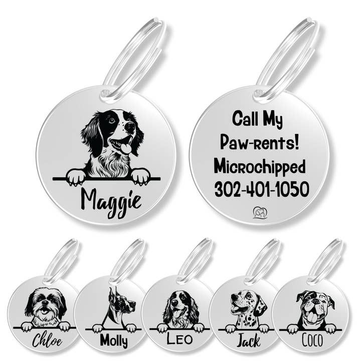 Gepersonaliseerde hondenpenning (Brittany Spaniel) voor wholesale door PawFurEver