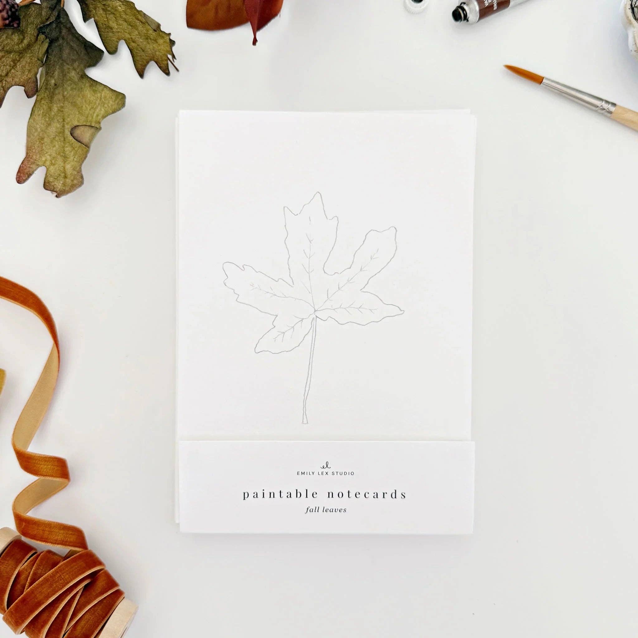 emily lex studio - Wholesale Stationery/Notecard Set - fall leaves paintable watercolor notecard set1