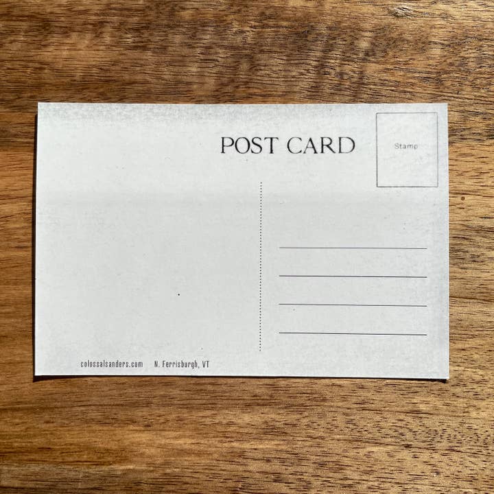 Colossal Sanders - Wholesale Postcard - Greetings from Vermont Postcard