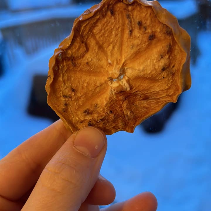 MOA Snacks - Wholesale Dried/Dehydrated Fruit - Dried Persimmons - So chewy and full of flavour6