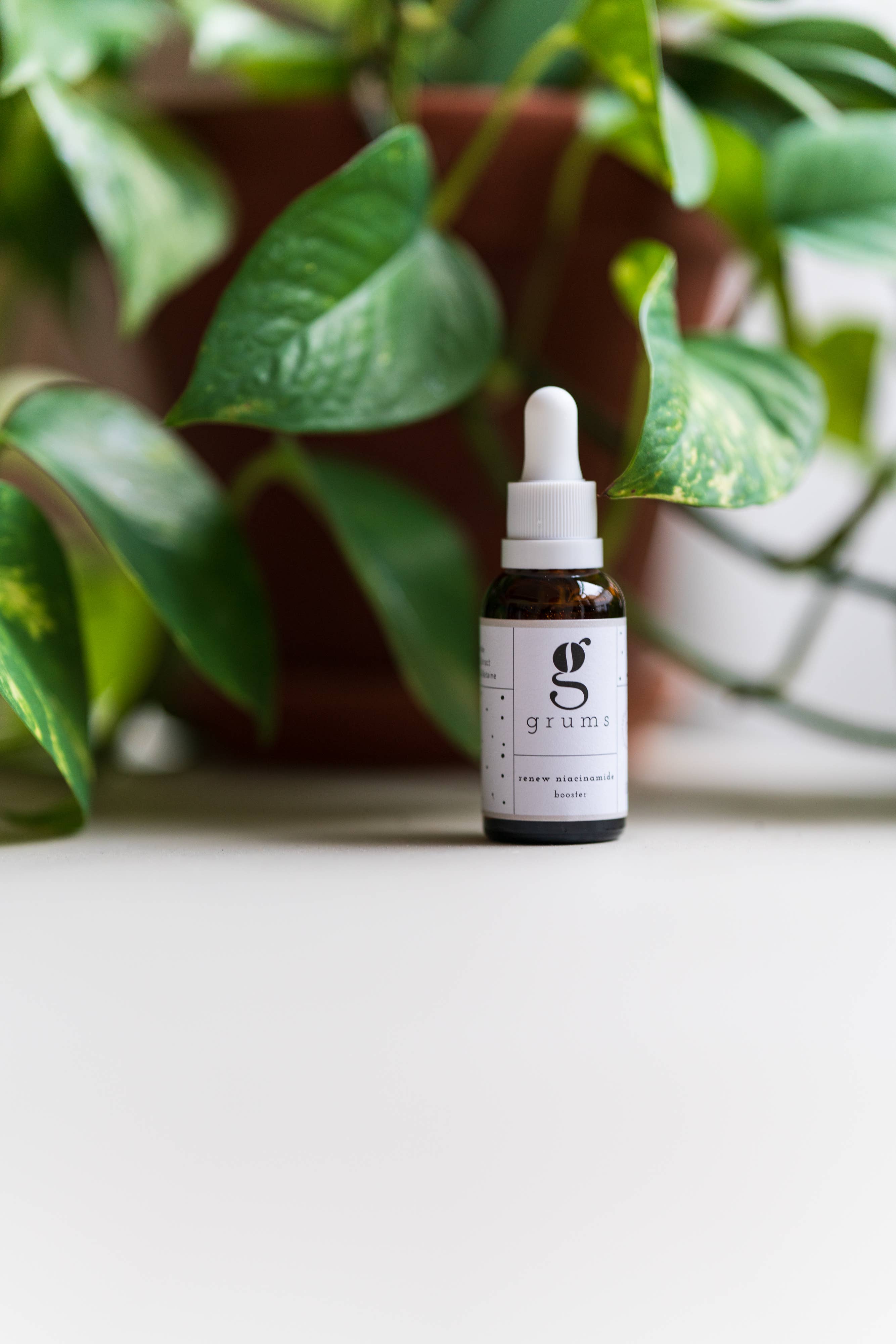 Wholesale Renew Niacinamide Booster 30 ml – Antioxidant Face Serum