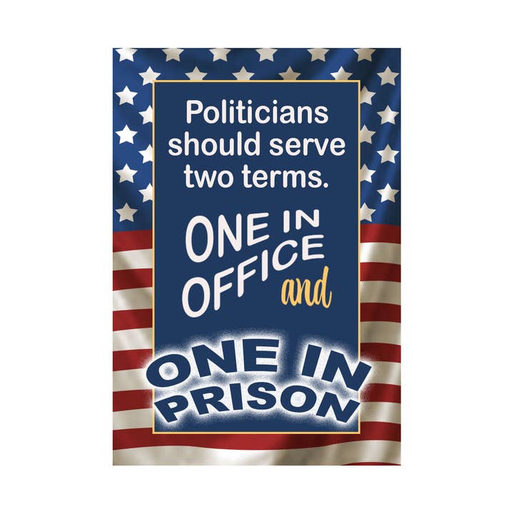 Politicians should serve 2 terms for wholesale by Fun Fridge Magnets