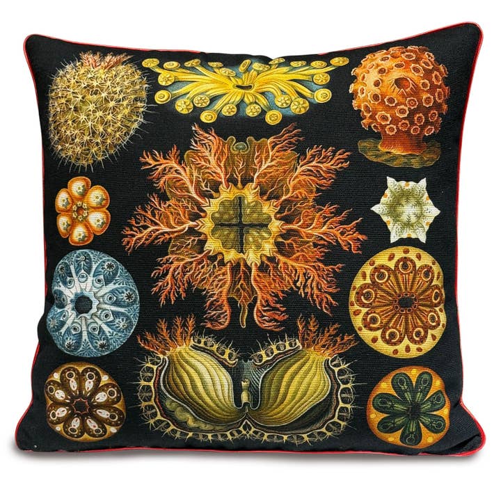Fodera per cuscino Haeckel 45×45 cm per la vendita all'ingrosso da parte di Barceloning