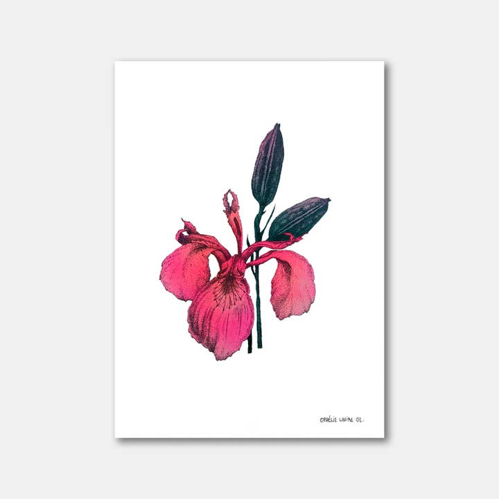 Iris 1 pour la vente par Ophelie Lhuire