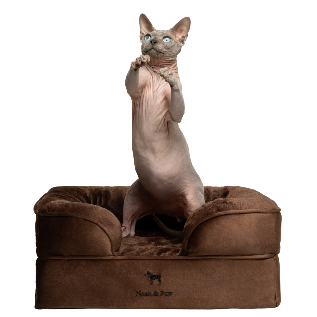 NOAH AND PAW LLC - Wholesale Bed voor huisdieren- Kat/hond - Velvet orthopedisch hondenbed met memoryfoam en verkoelende gel5