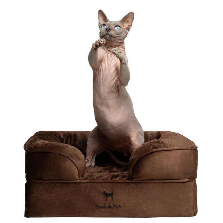 NOAH AND PAW LLC - Wholesale Bed voor huisdieren- Kat/hond - Velvet orthopedisch hondenbed met memoryfoam en verkoelende gel5